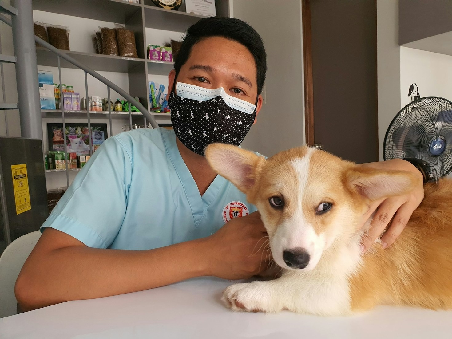 A Importância de uma Experiência de Usuário Responsiva para Clientes Pet